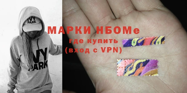 шишки Аркадак