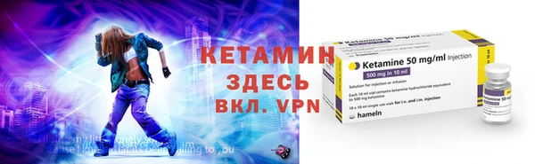 шишки Аркадак