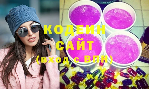 шишки Аркадак