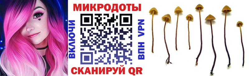 Псилоцибиновые грибы Magic Shrooms Лысьва